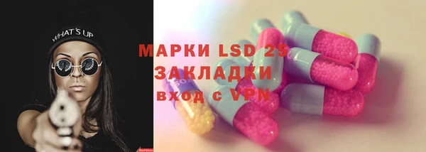 стаф Аркадак