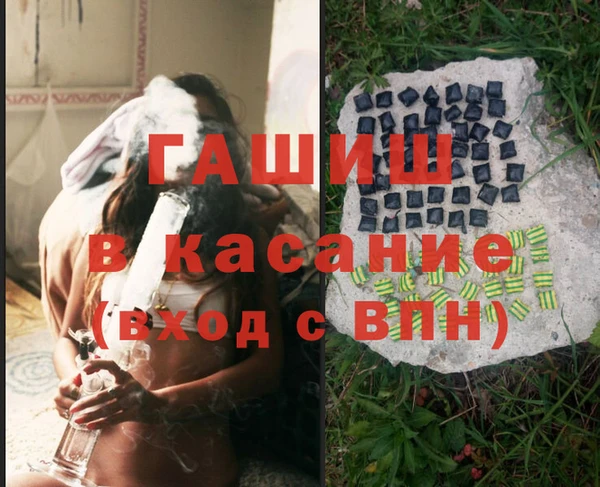 стаф Аркадак