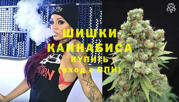 стаф Аркадак