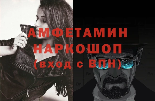 стаф Аркадак