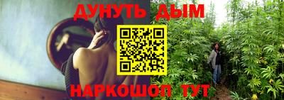 бошки Шелехов
