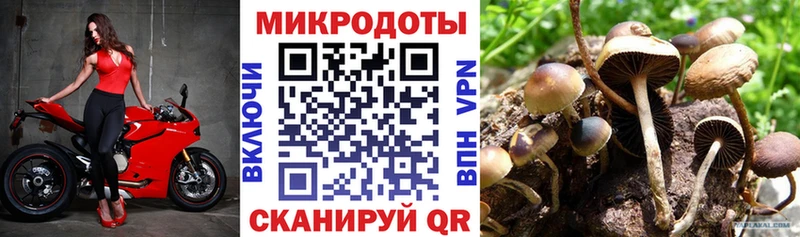 omg ссылки  Дюртюли  Галлюциногенные грибы Psilocybine cubensis 