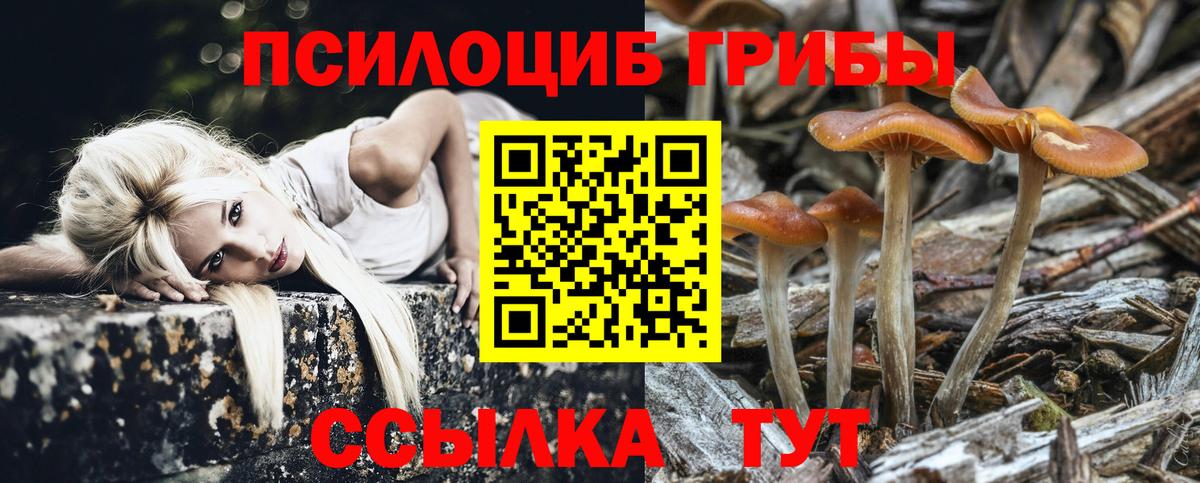 где продают   Вход с VPN  Псилоцибиновые грибы Psilocybine cubensis  Дюртюли  Псилоцибиновые грибы мицелий 
